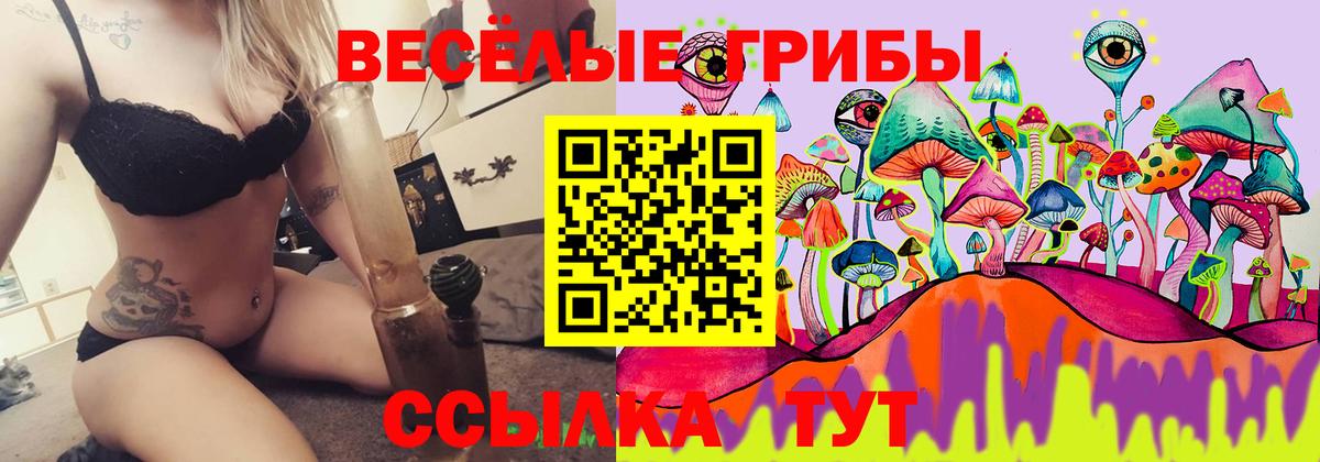 Галлюциногенные грибы ЛСД Ступино