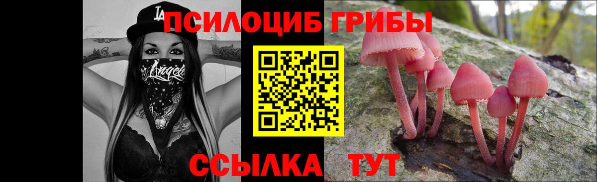 Ступино  Псилоцибиновые грибы Psilocybine cubensis  Вход с VPN 